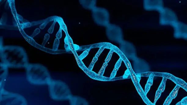 Recovery/Bio Hacking - SportZone.co.nz