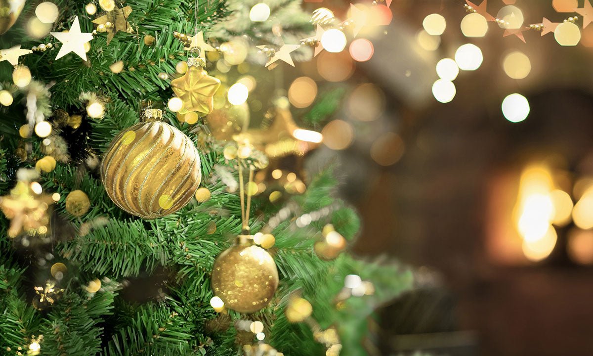 Xmas - SportZone.co.nz