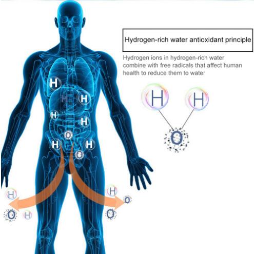 420ml Hydrogen Water Generator - SportZone.co.nz