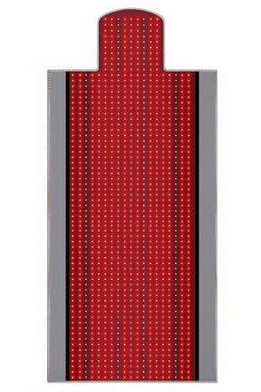Electric Heating Wrap 12V 16W 5 Heat Settings Neoprene Shoulder Waist Leg Heat Pad - SportZone.co.nz