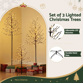 Jingle Jollys 3 Pack LED Christmas Tree Lighted Birch Tree Indoor Outdoor Xmas Decor Warm White - SportZone.co.nz