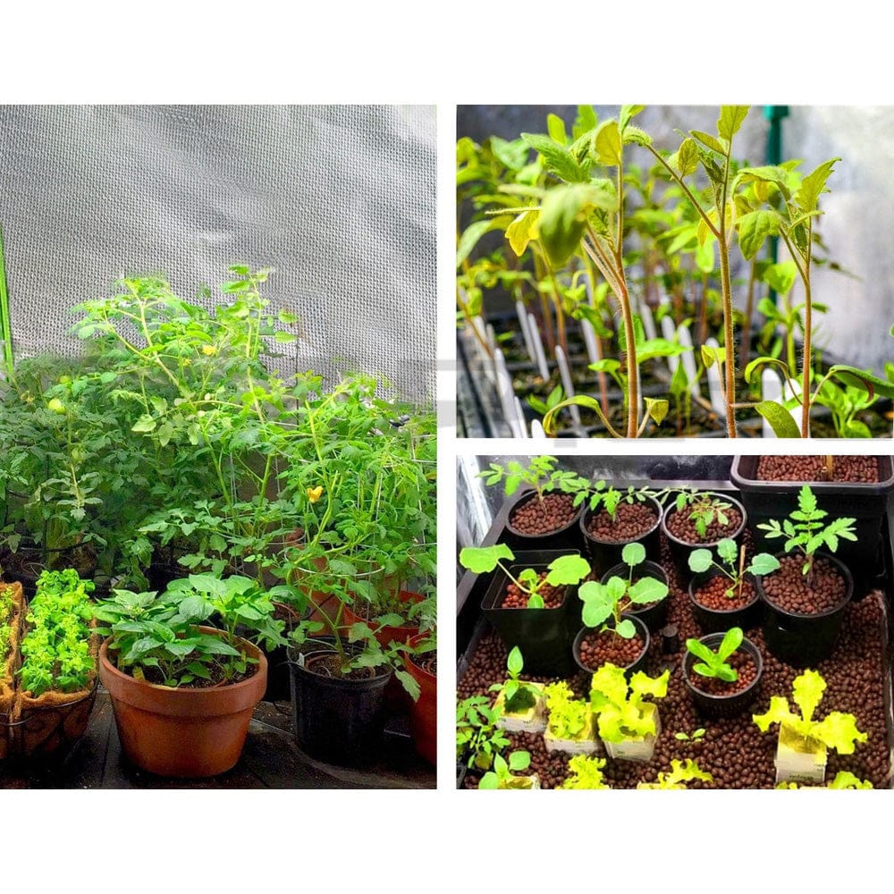 Green Fingers Grow Tent 60x60x90CM Hydroponics Kit Indoor Plant Room System - SportZone.co.nz